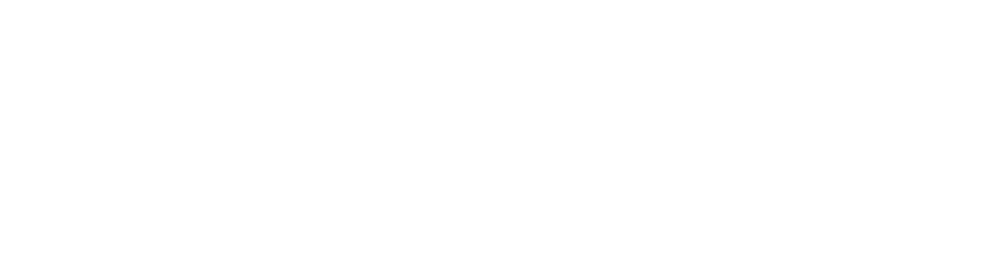 Battle Arena Logo
